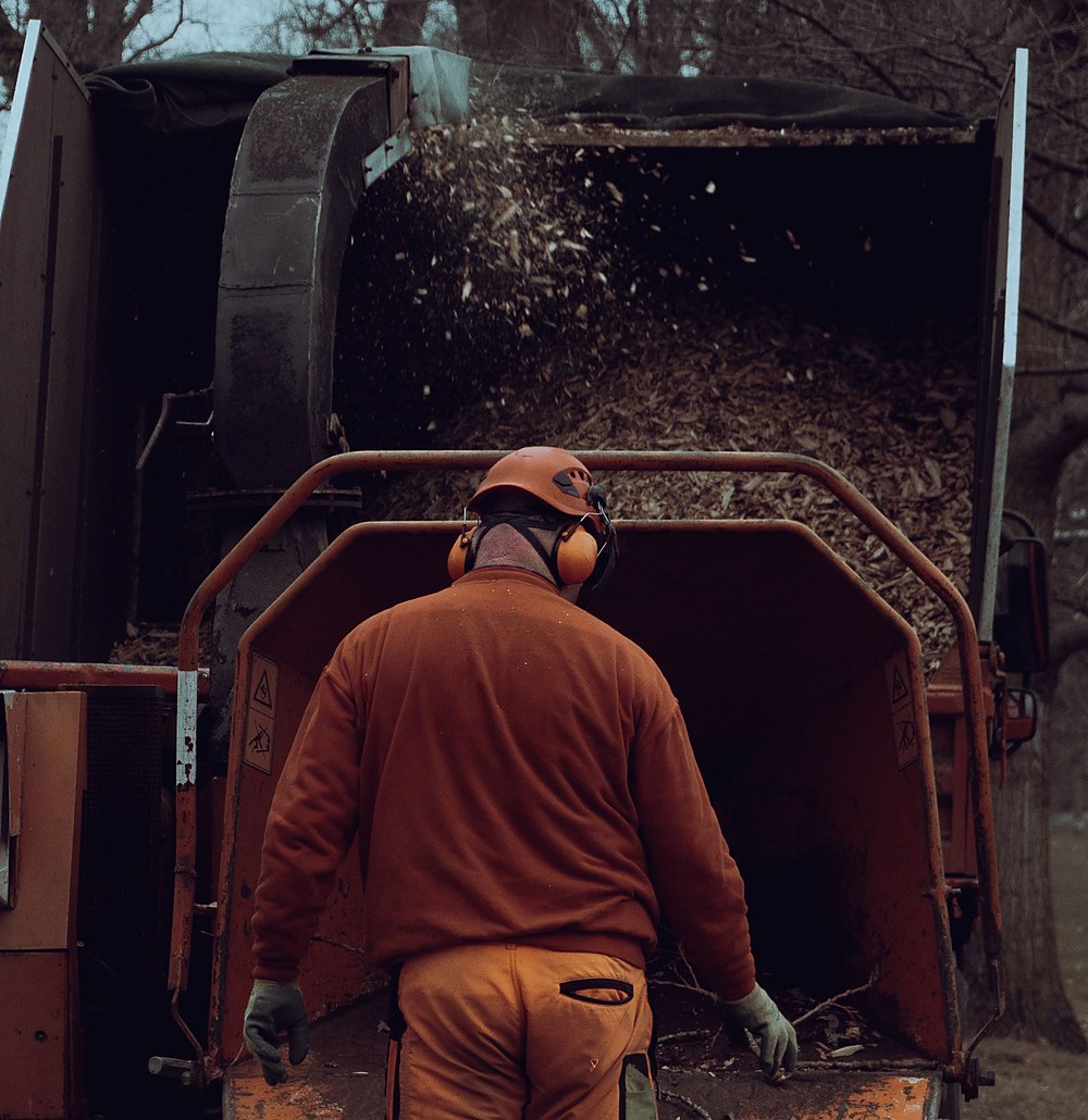 Licensed stock photograph: a worker in ear defenders feeding brush into a chipper, chips flying into the truck box behind it.